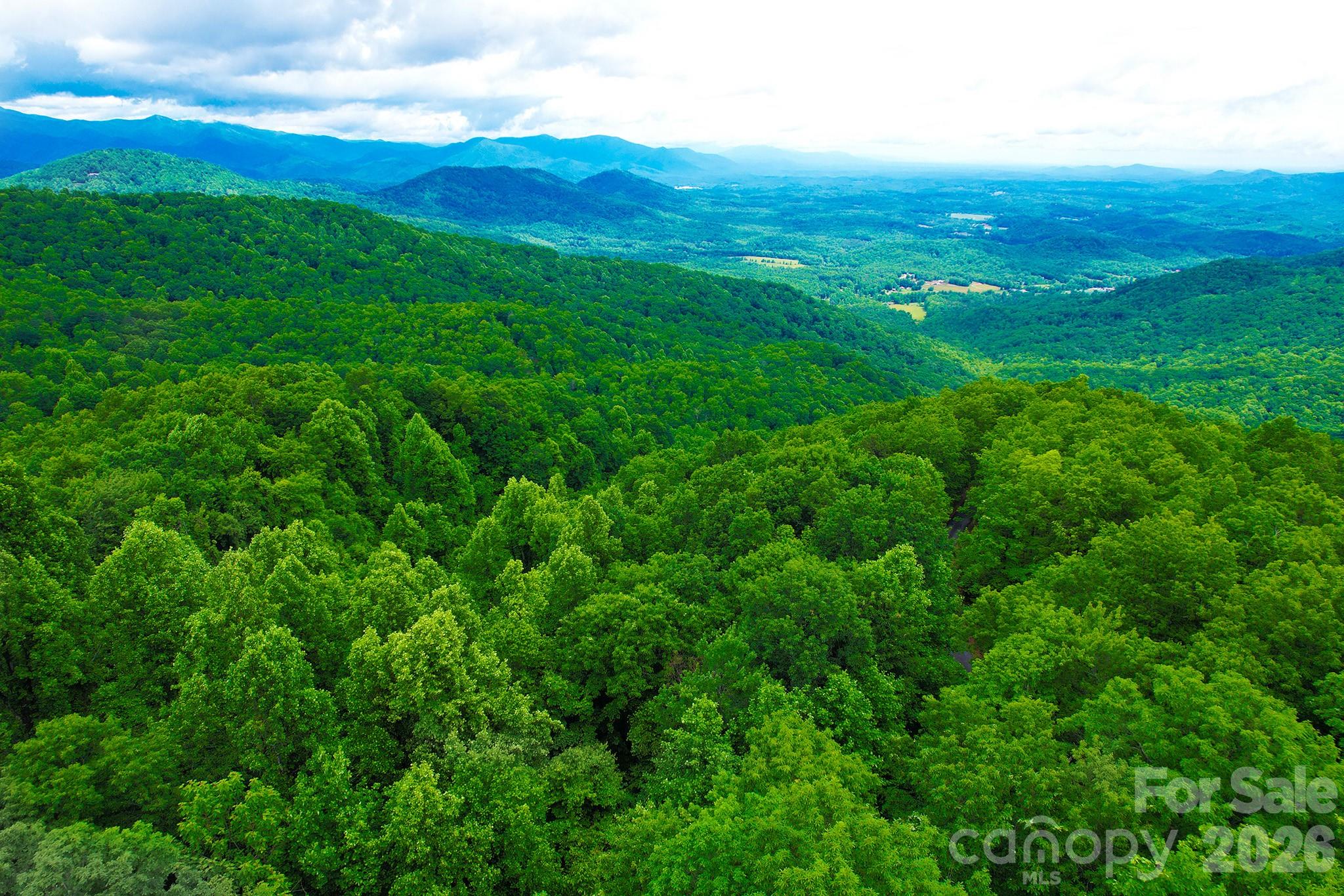 Laurel Mountain Preserve - Land