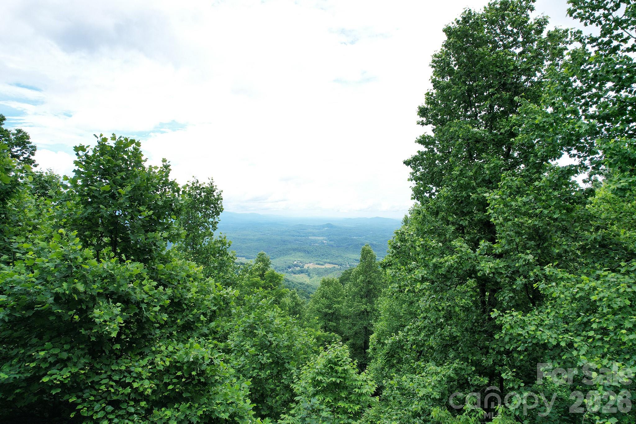 Laurel Mountain Preserve - Land