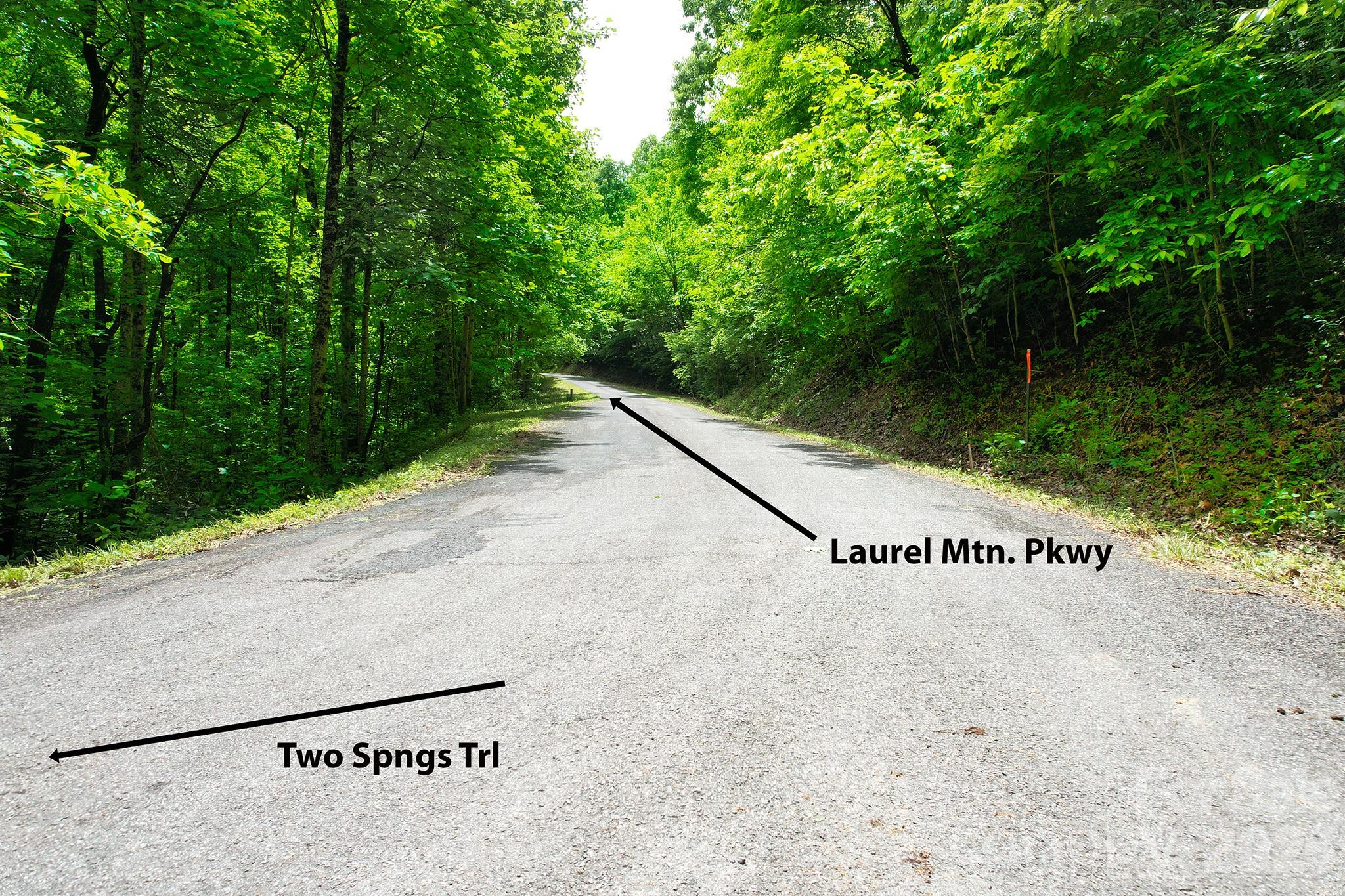 Laurel Mountain Preserve - Land