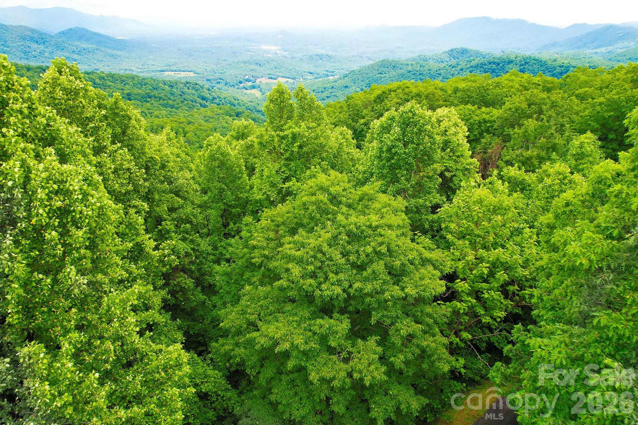 Laurel Mountain Preserve - Land