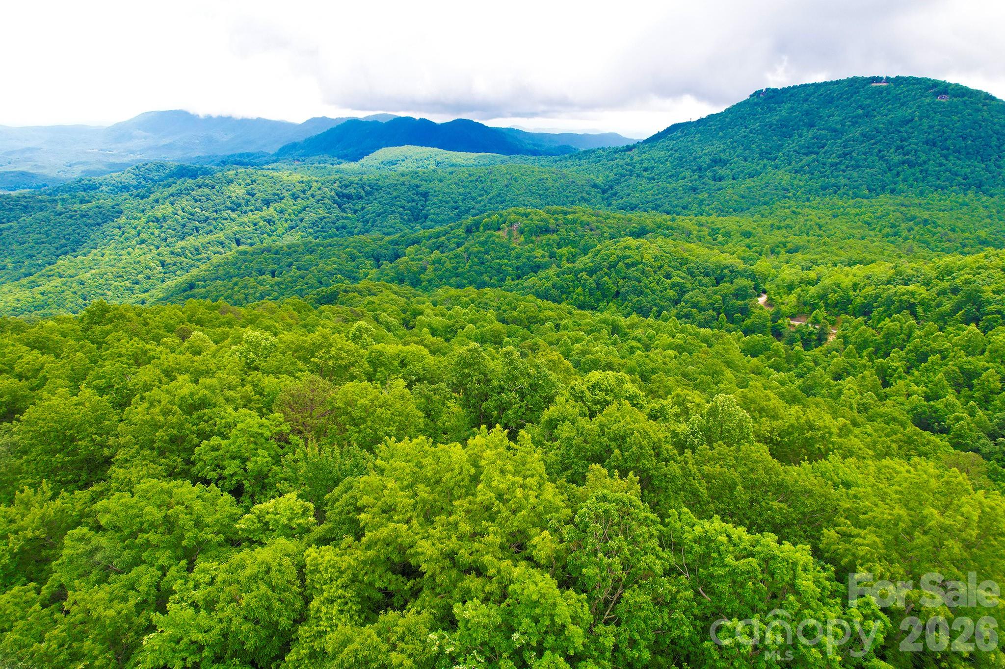 Laurel Mountain Preserve - Land