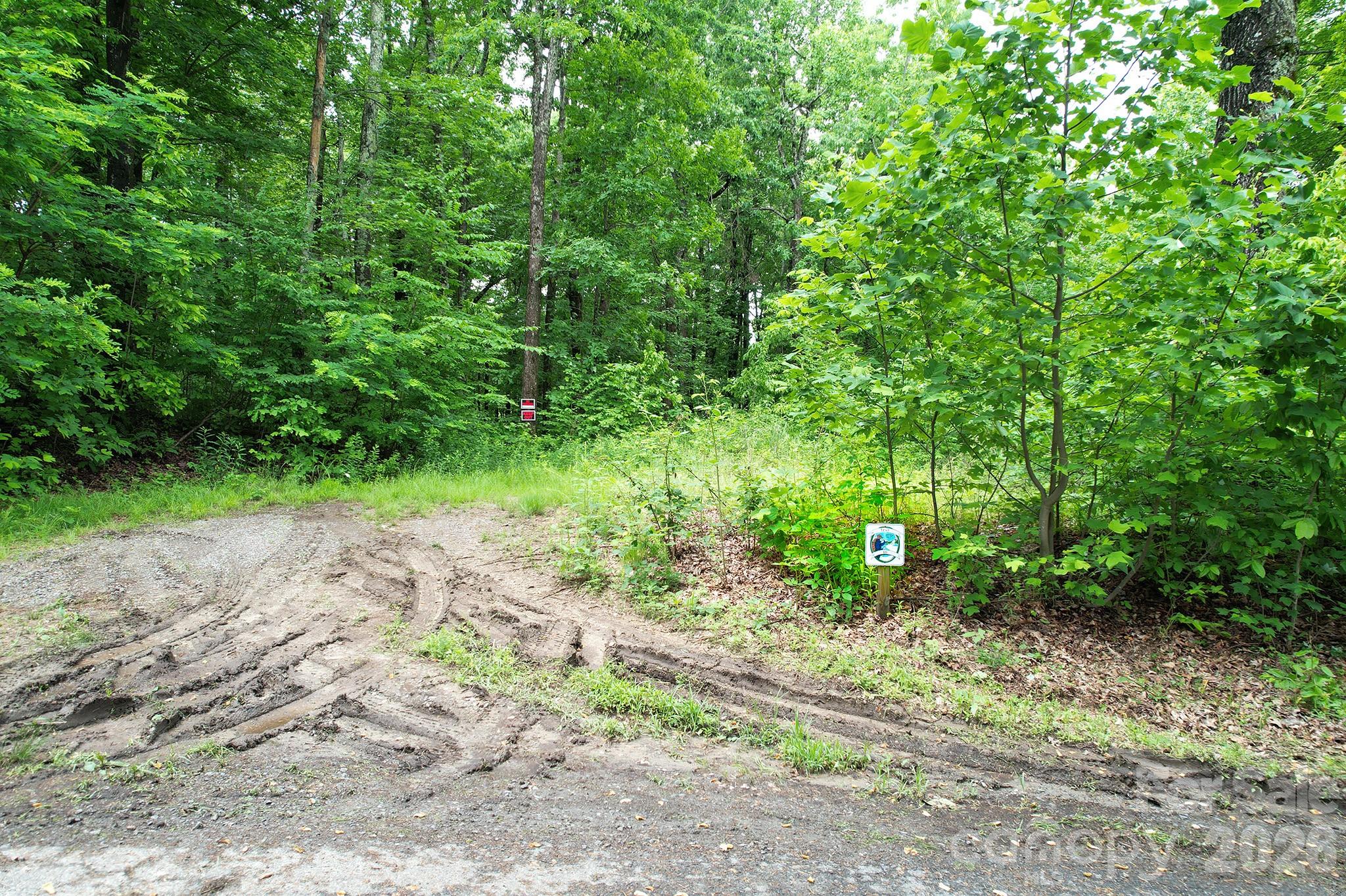 Laurel Mountain Preserve - Land