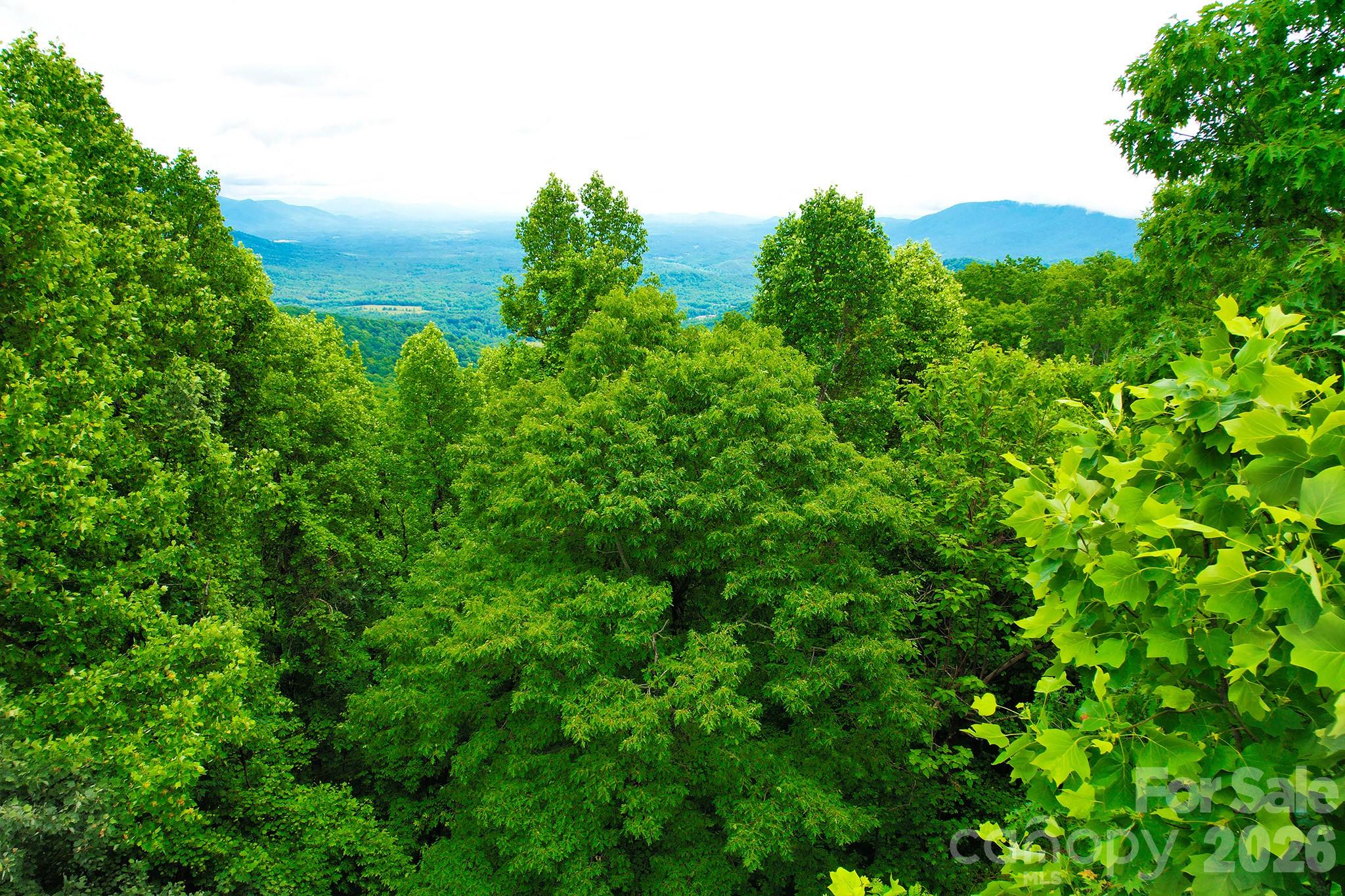 Laurel Mountain Preserve - Land
