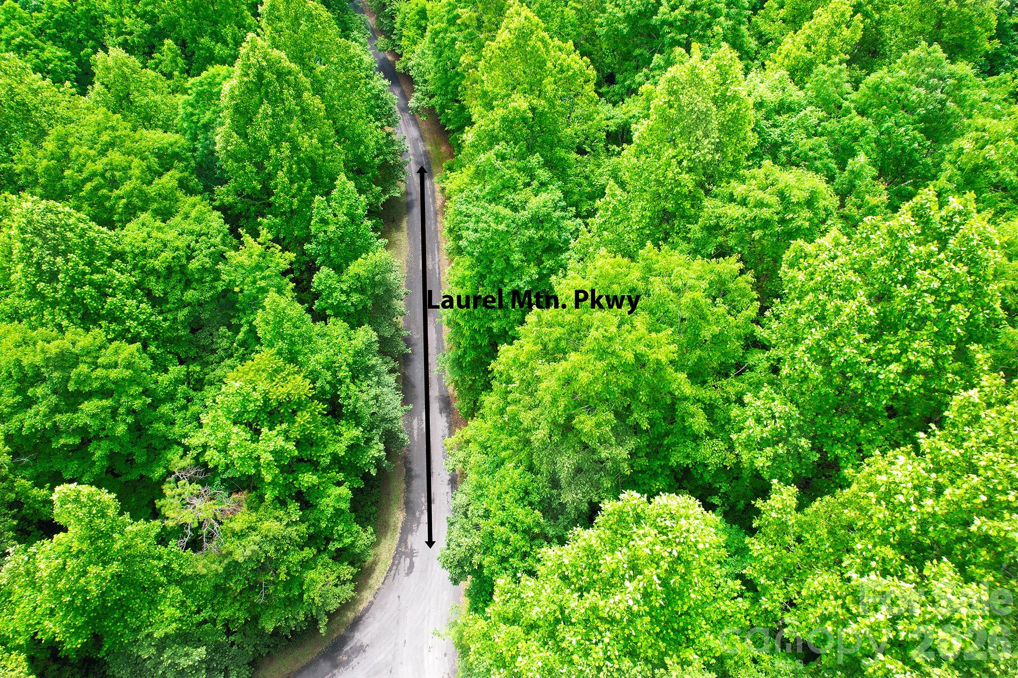 Laurel Mountain Preserve - Land