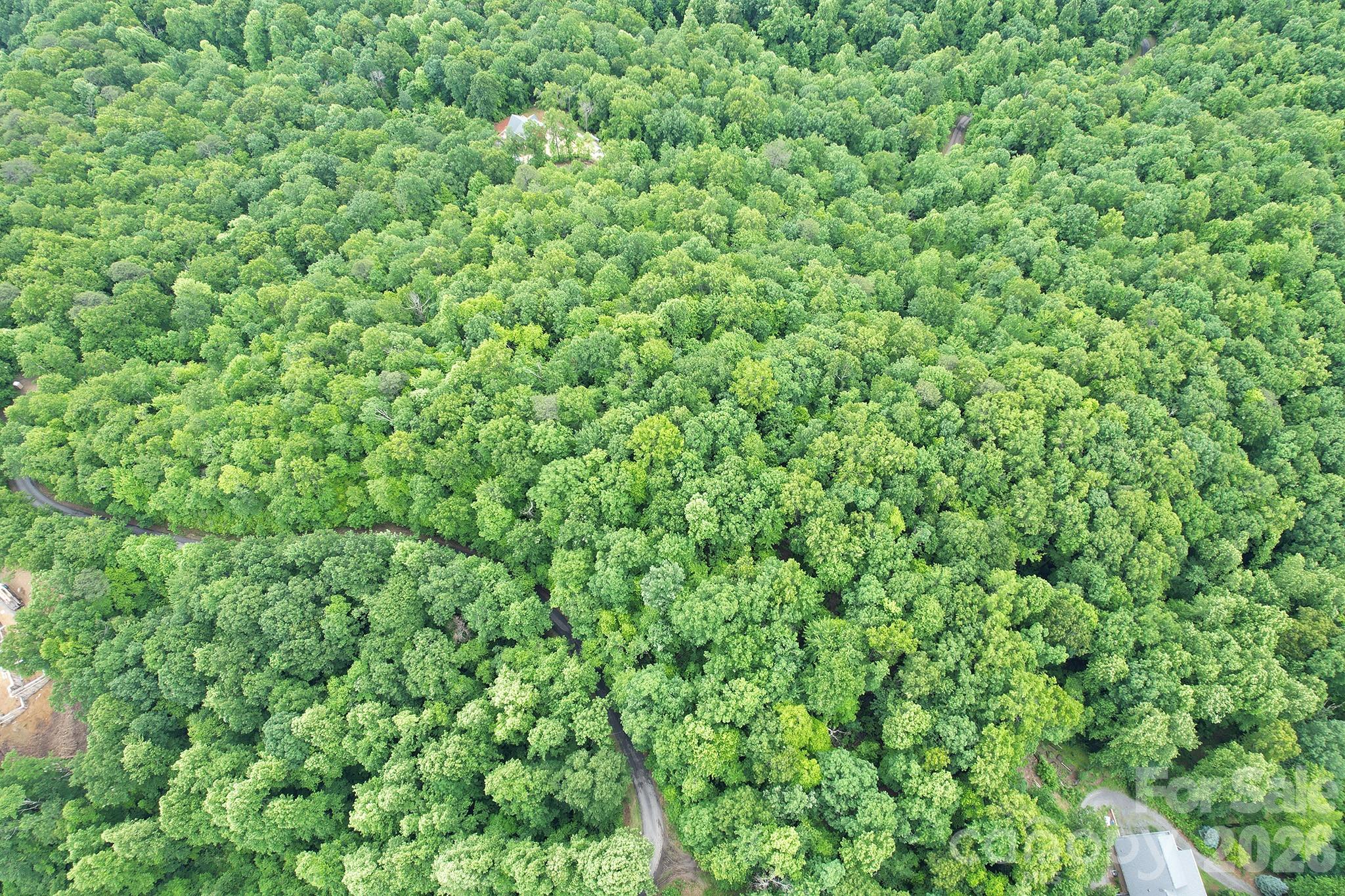Laurel Mountain Preserve - Land