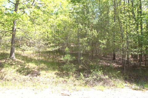00 Dirksen Avenue 68 Nebo NC 28761