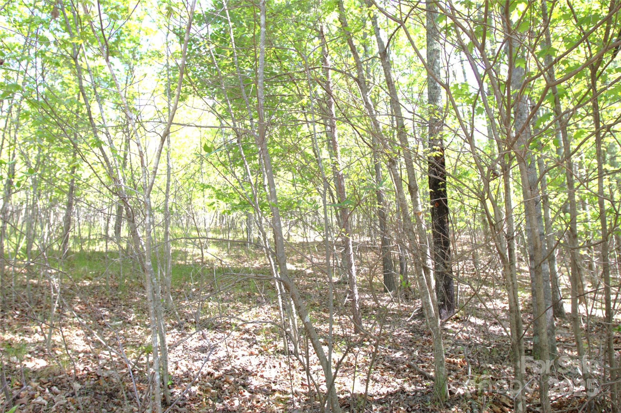 00 Dirksen Avenue 68