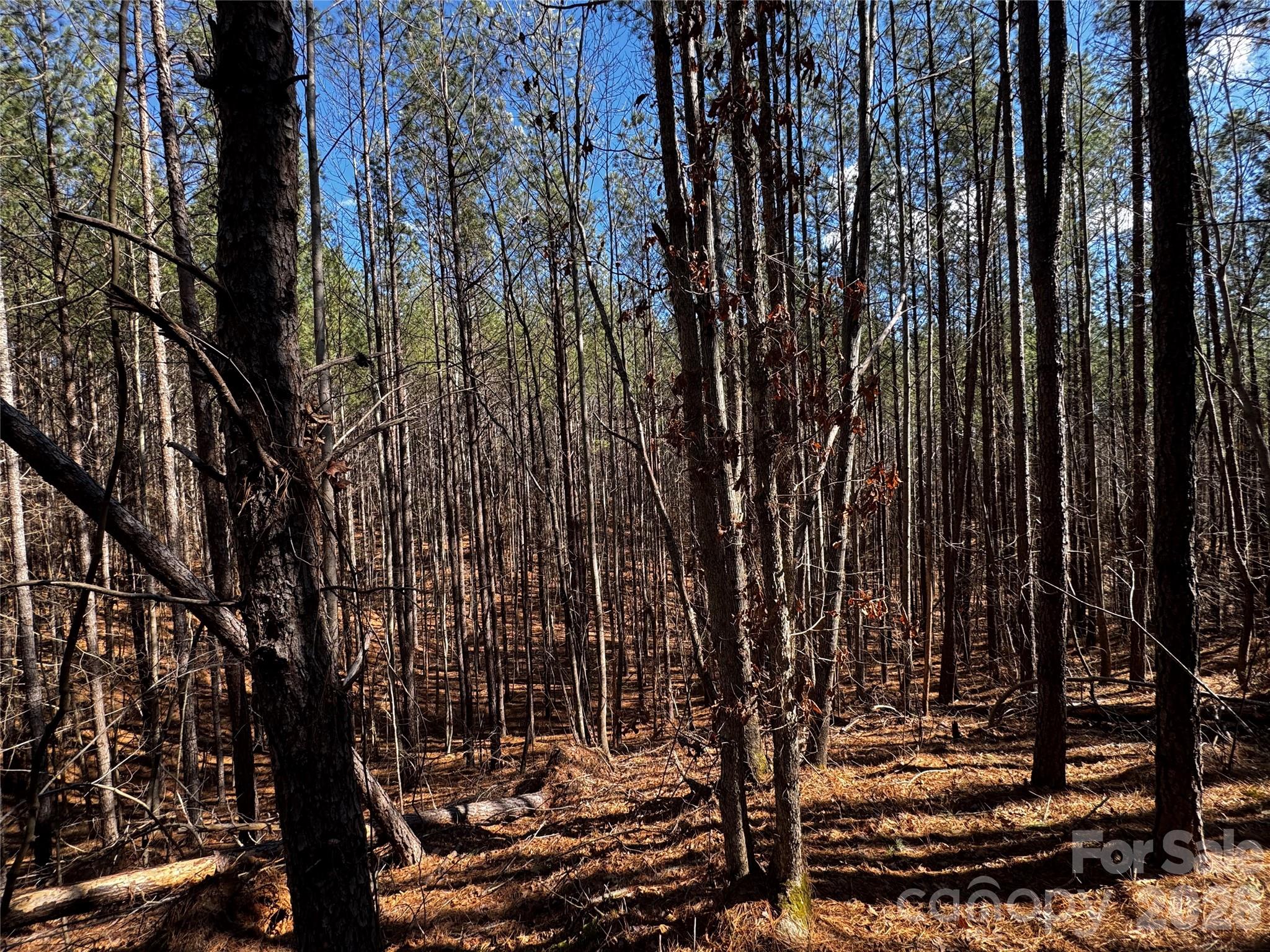 Contuck Preserve - Land