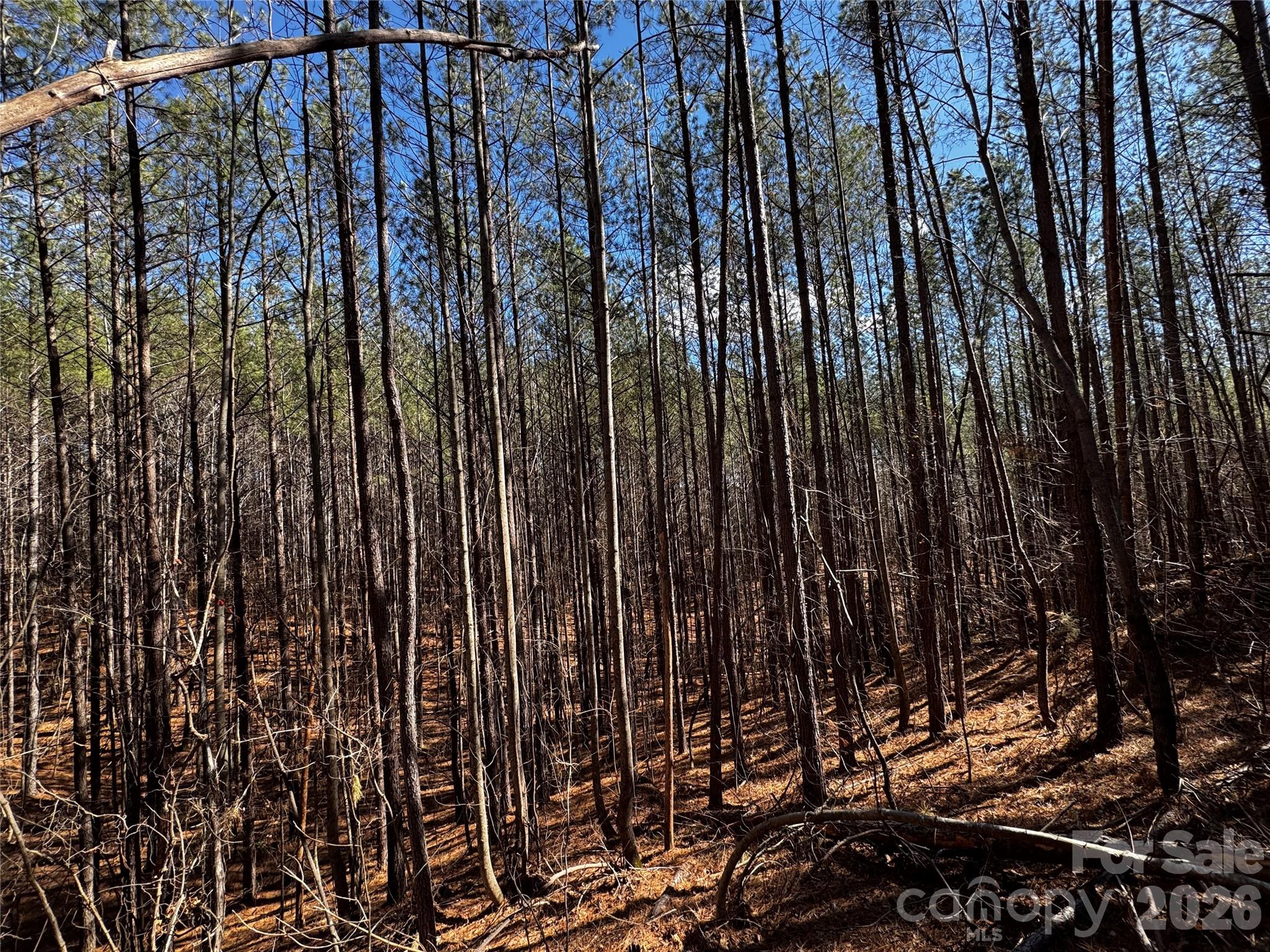 Contuck Preserve - Land