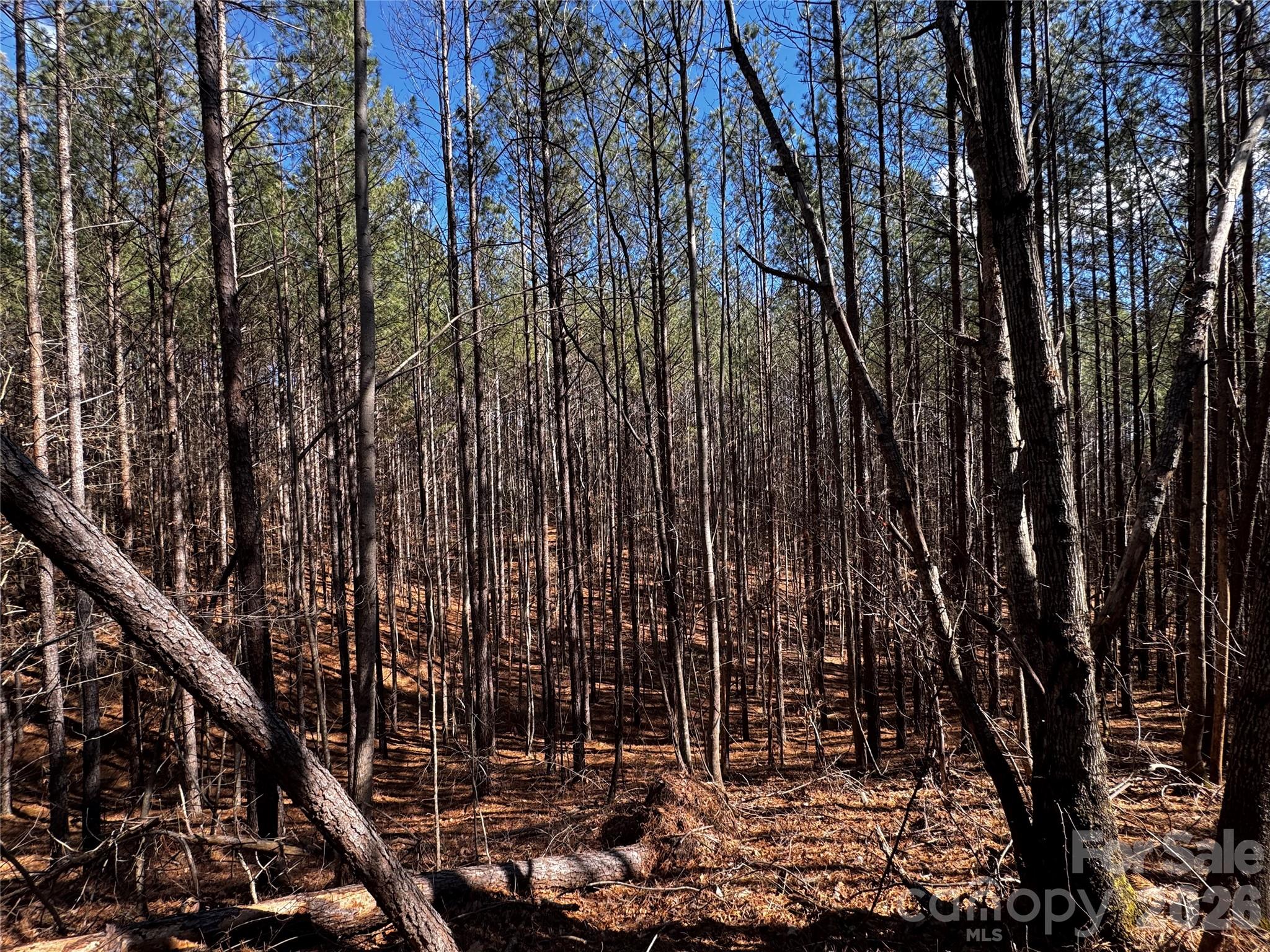 Contuck Preserve - Land