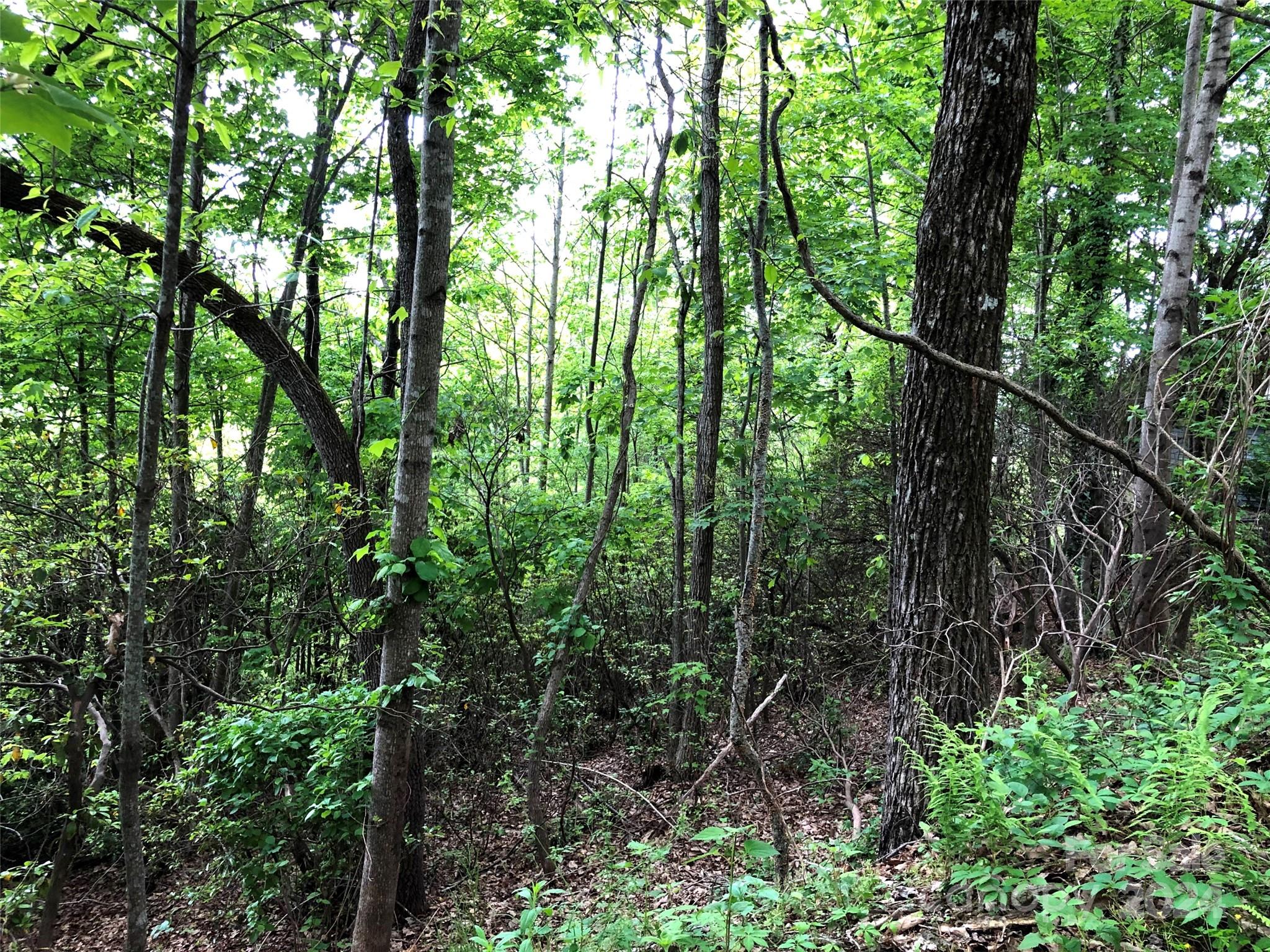 Champion Hills - Land