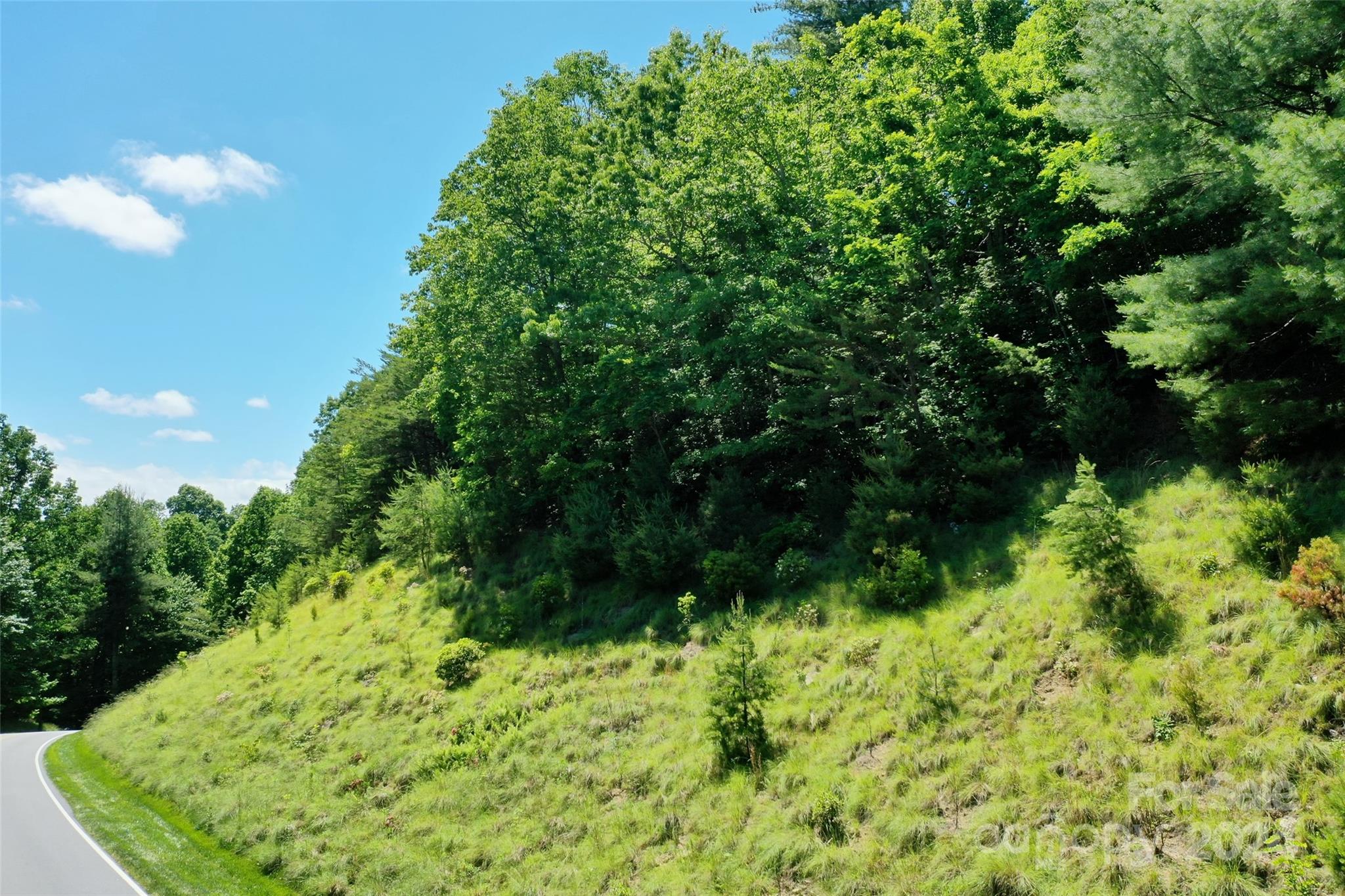 Champion Hills - Land