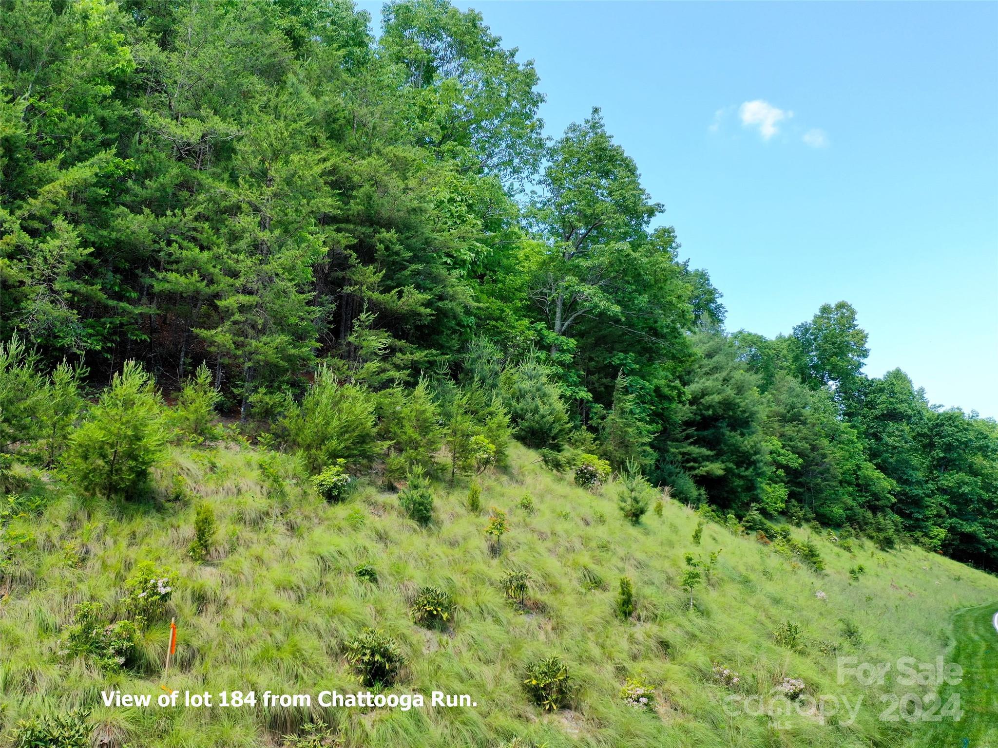 Champion Hills - Land