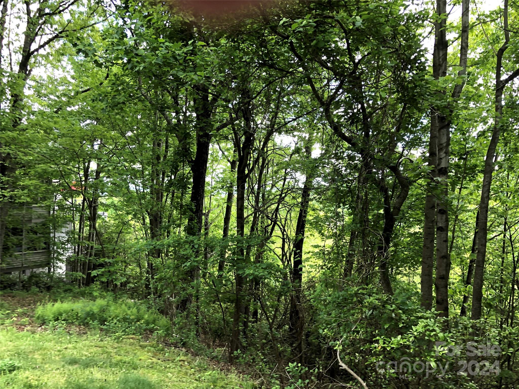 Champion Hills - Land