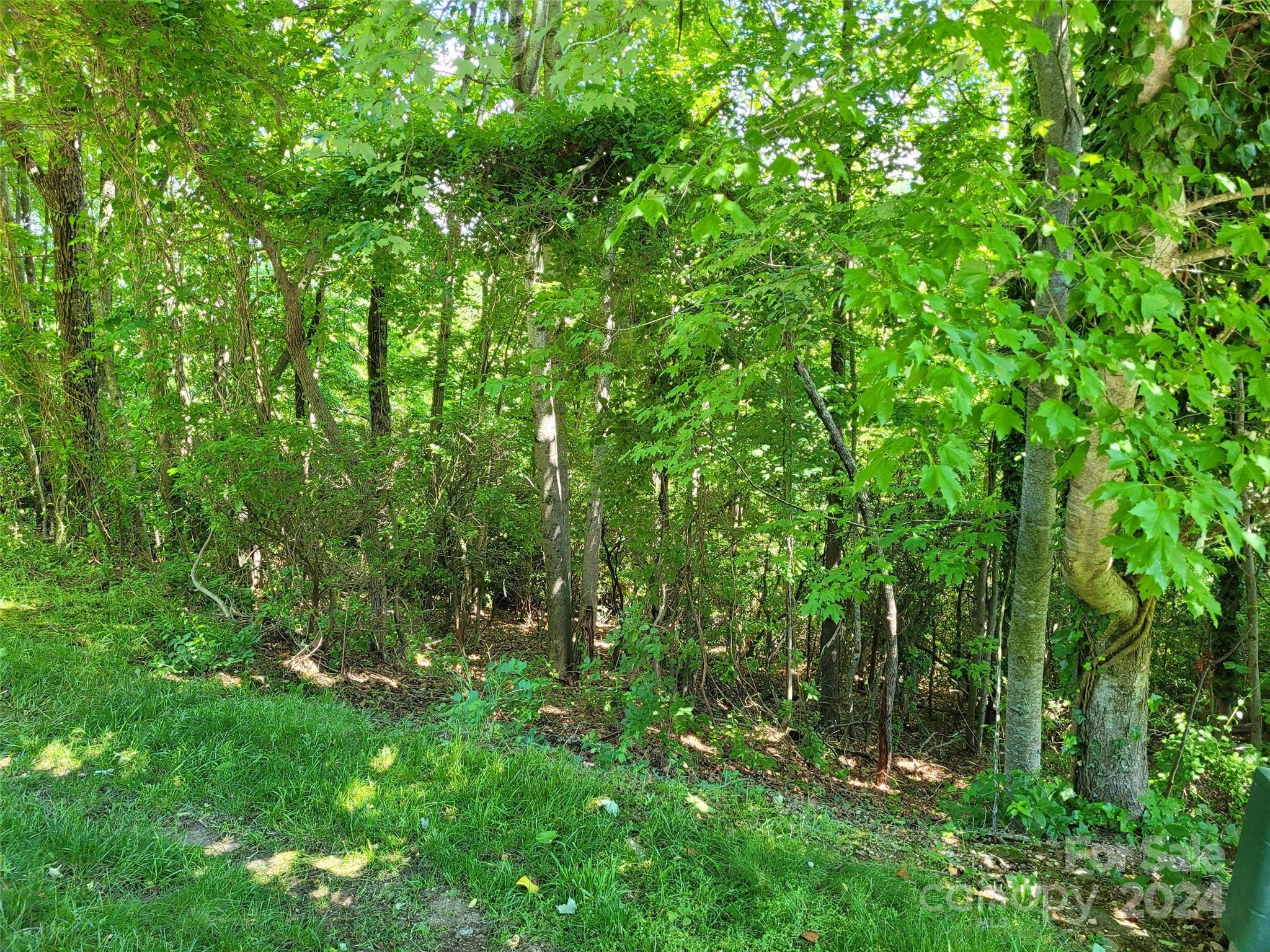 Champion Hills - Land