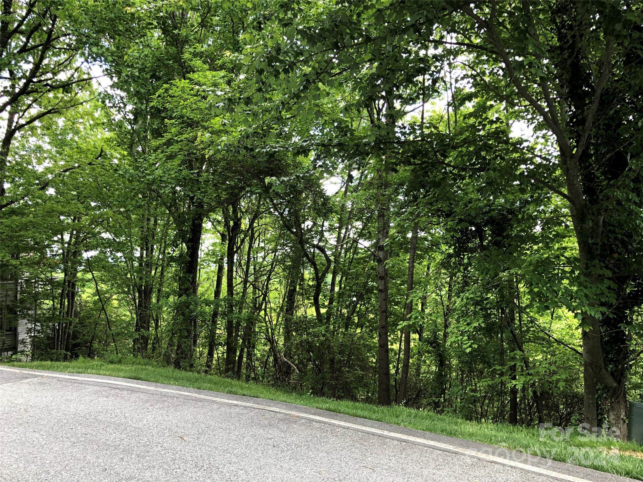 Champion Hills - Land