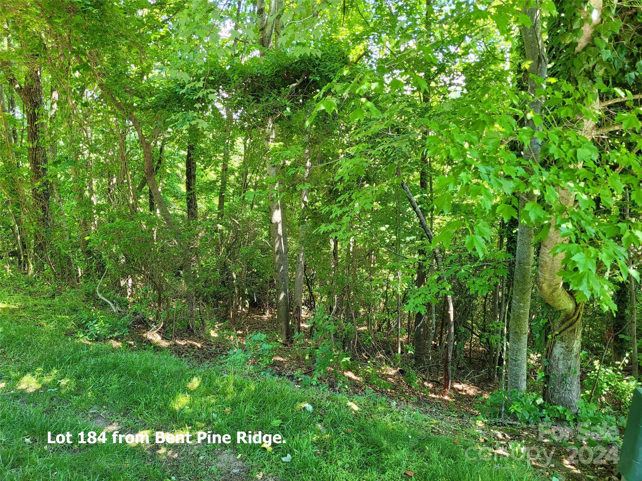 Champion Hills - Land