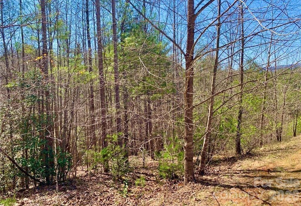 Lot 148 Rocky Falls Lane 148