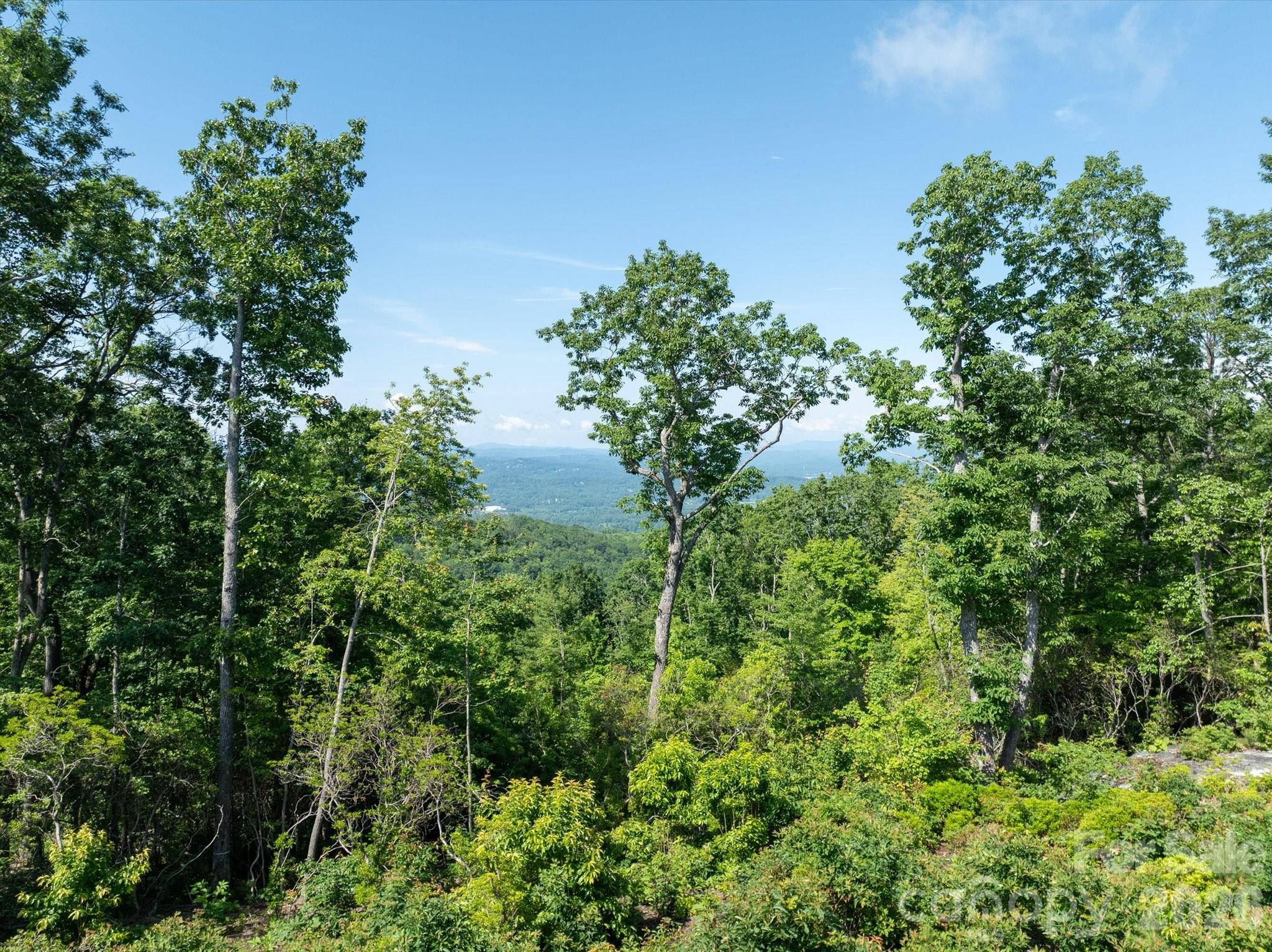 99999 Mountain Grove Lane 48