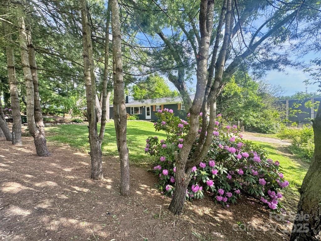 28 Pine Lane