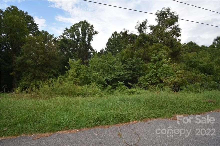 Nice building lot suitable for Single Family conveniently located to shopping, hospitals and local amenities. Great price at $19,900. Come and see this gently slopping lot that has lots of possibilities. City water and sewer at the street. Seller willing to do some owner financing.