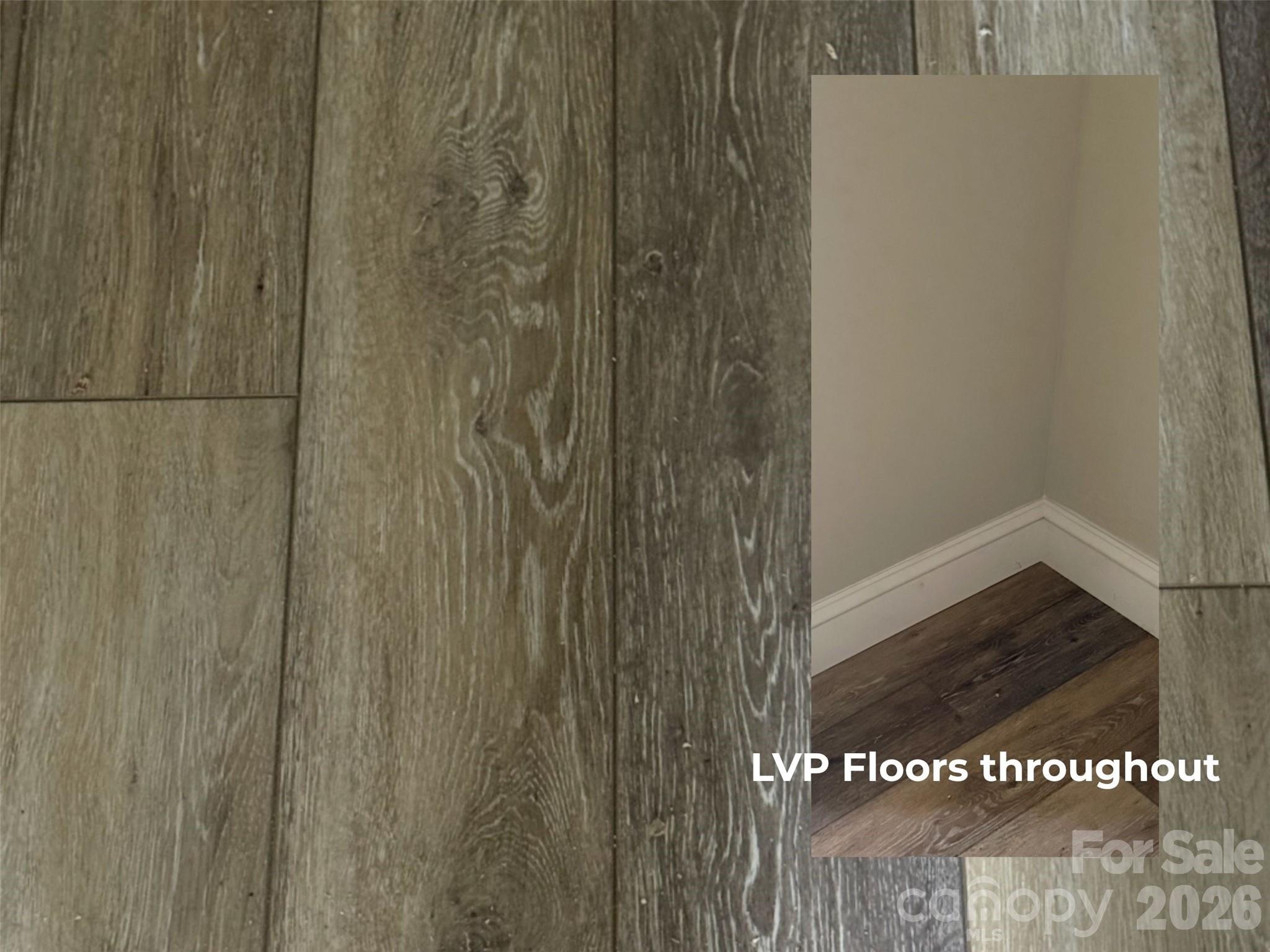 20 Mount Carmel Drive