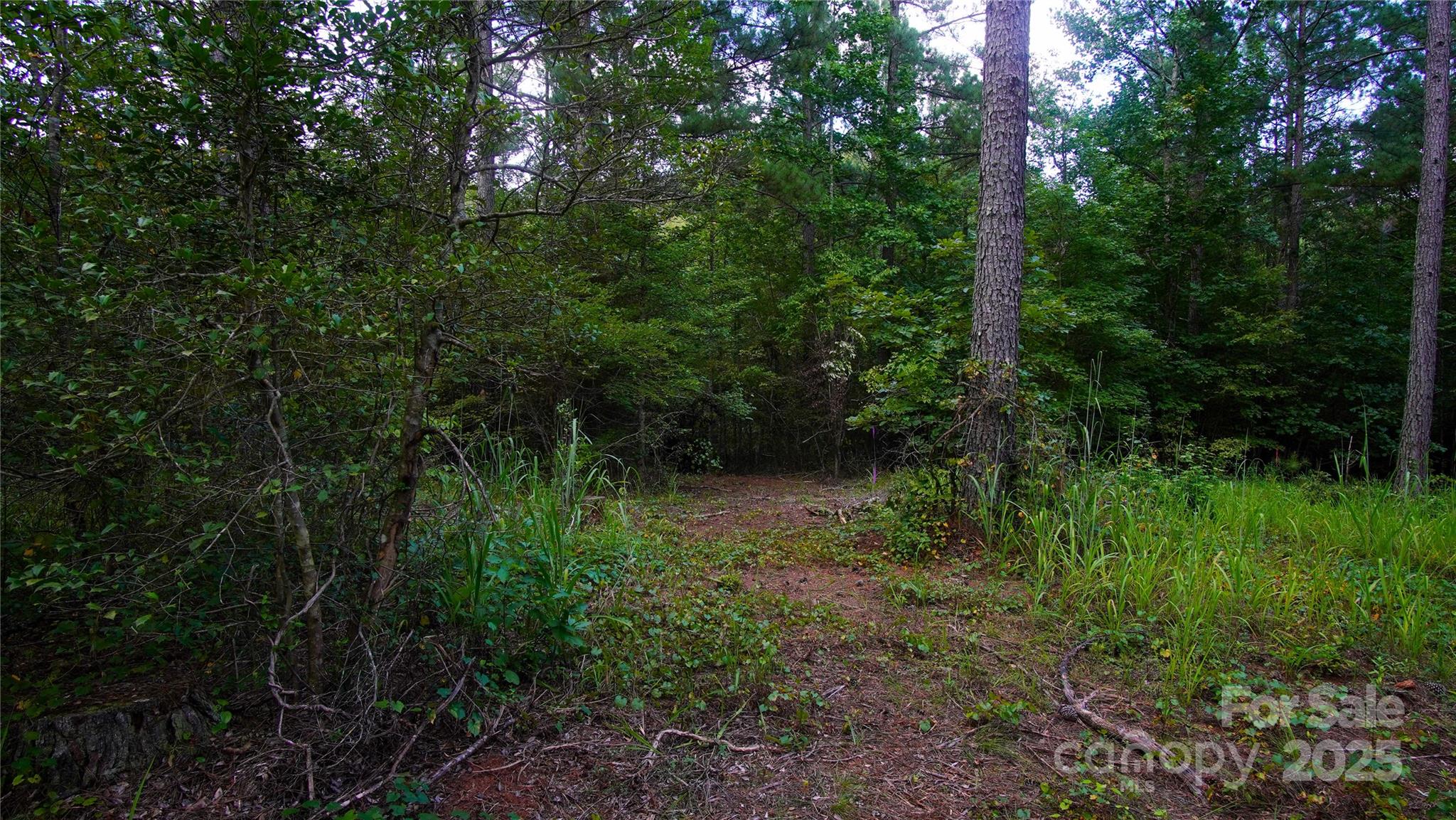 The Waterfront Club - Land