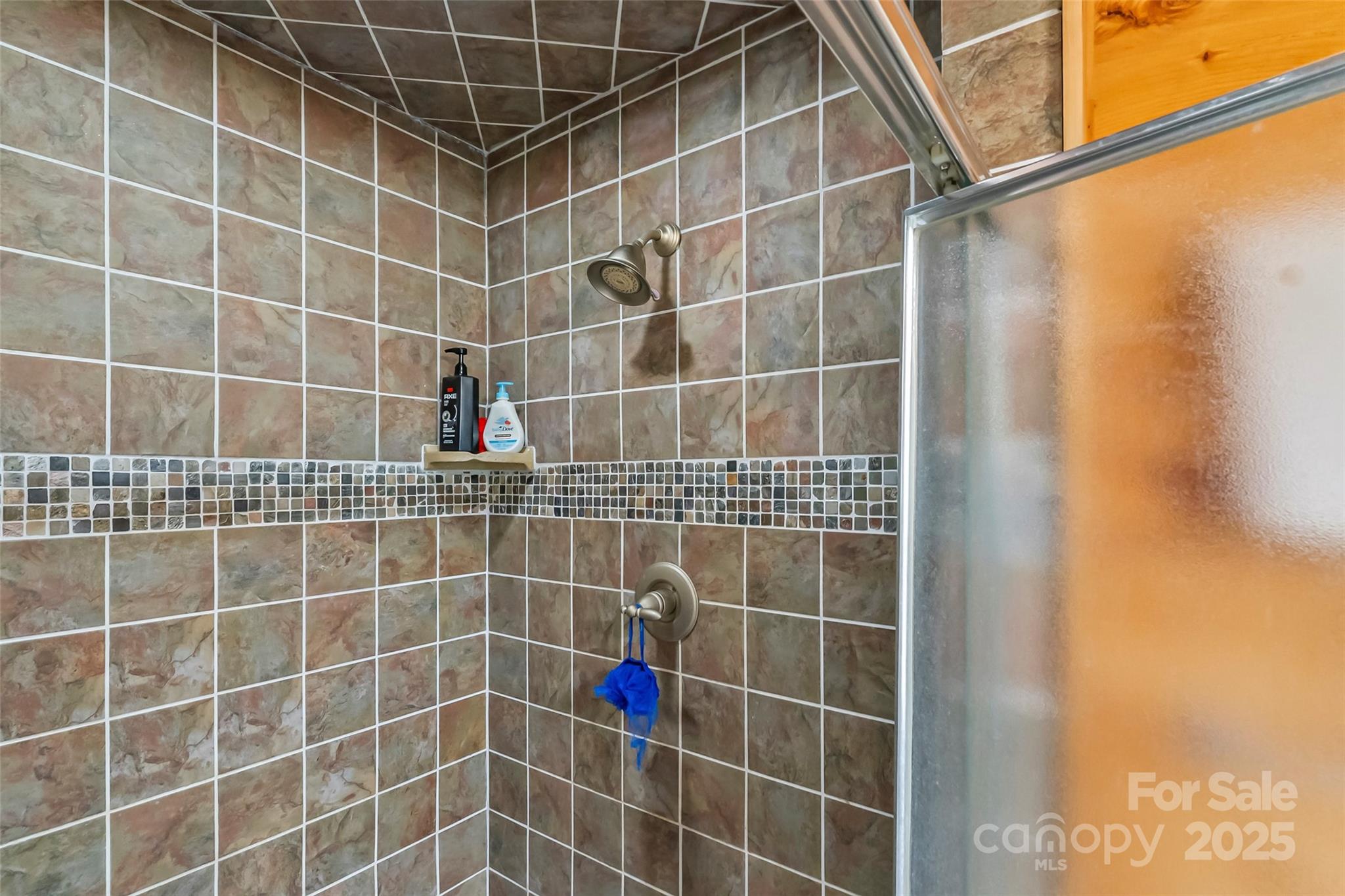 The Meadows at Lake James Station - Residential