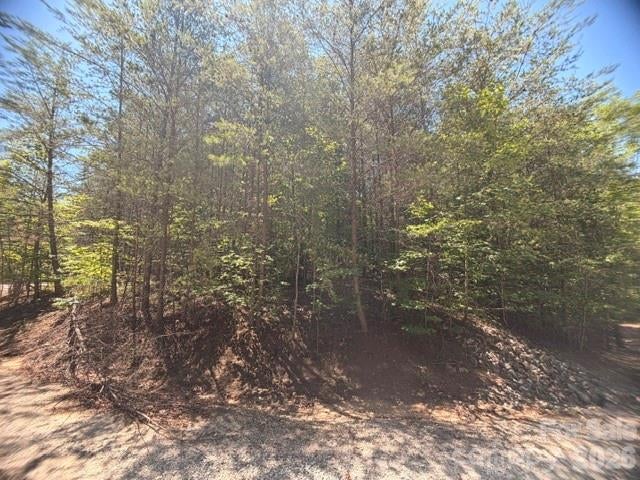 00 Sundance Drive Unit 5-IV, Nebo, NC, 28761