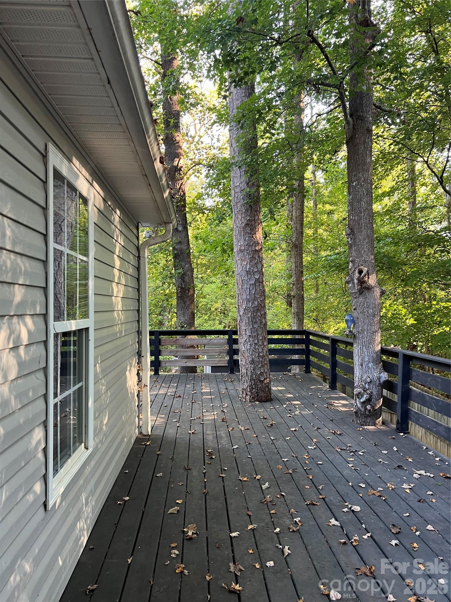 202 Polly Collins Court