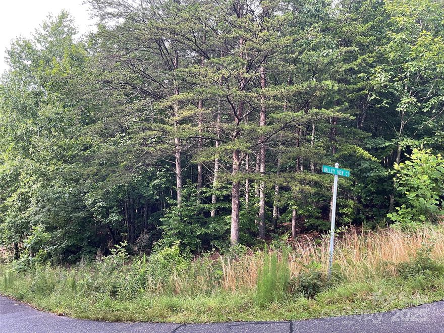 Build your dream home on this private, 1.18 wooded lot with sloping topography, conveniently located just outside city limits—meaning no city taxes! Enjoy easy access to I-40 and Hwy 321, taking you a short drive from Hickory, Statesville, Morganton, and Lenoir. Major universities like Appalachian State, Lenoir-Rhyne, and Garner-Webb, along with the scenic Blue Ridge Parkway, are also within convenient reach.