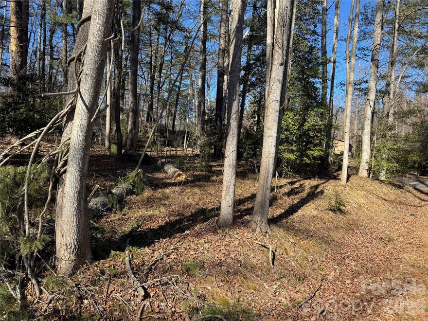 Portion of the property sold for privacy buffer and driveway access.