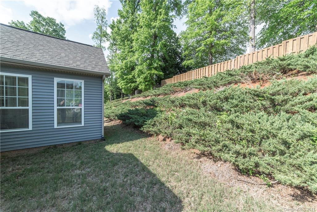 Mountain Laurel - Residential