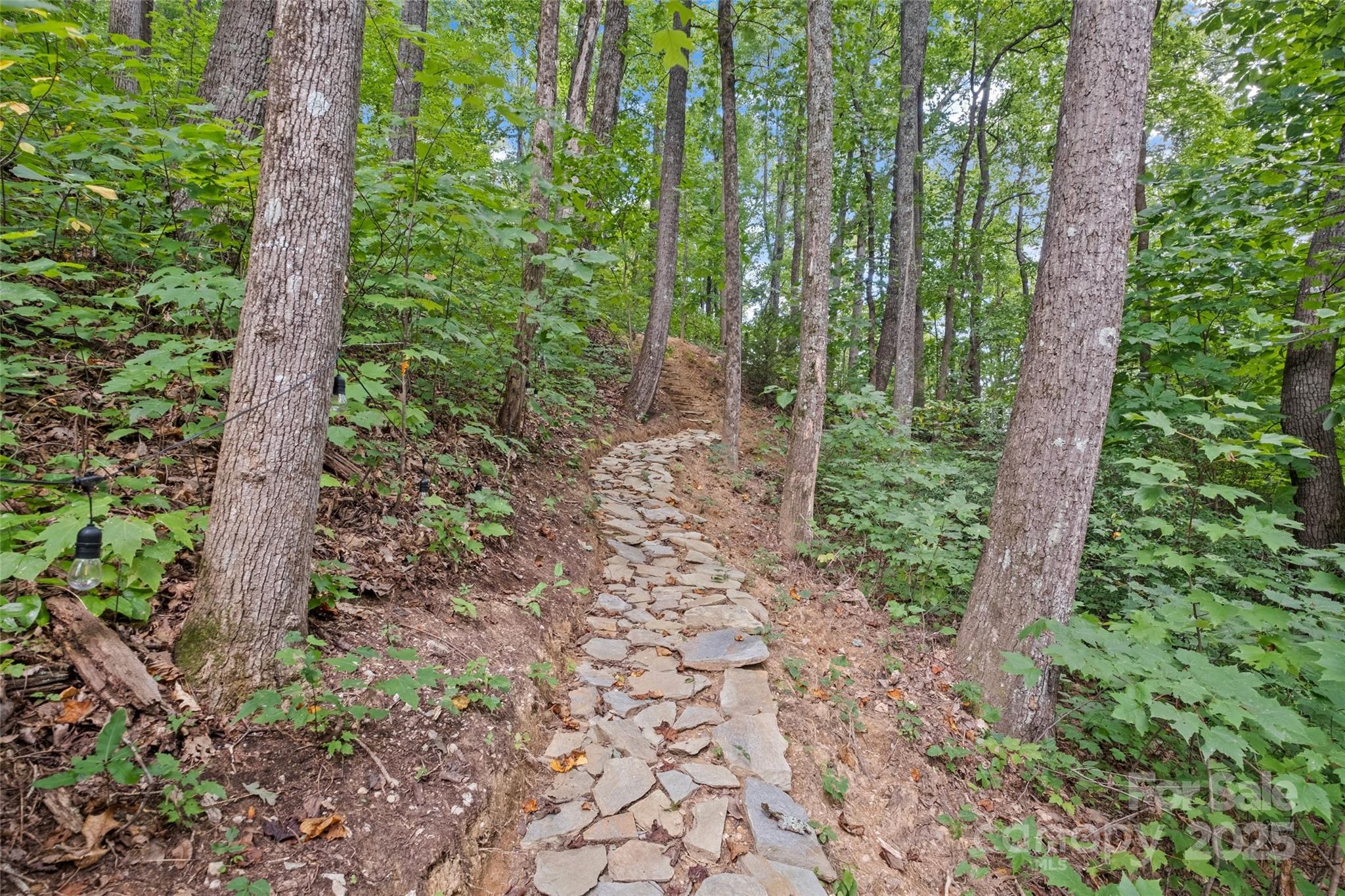 Gateway Mountain - Residential