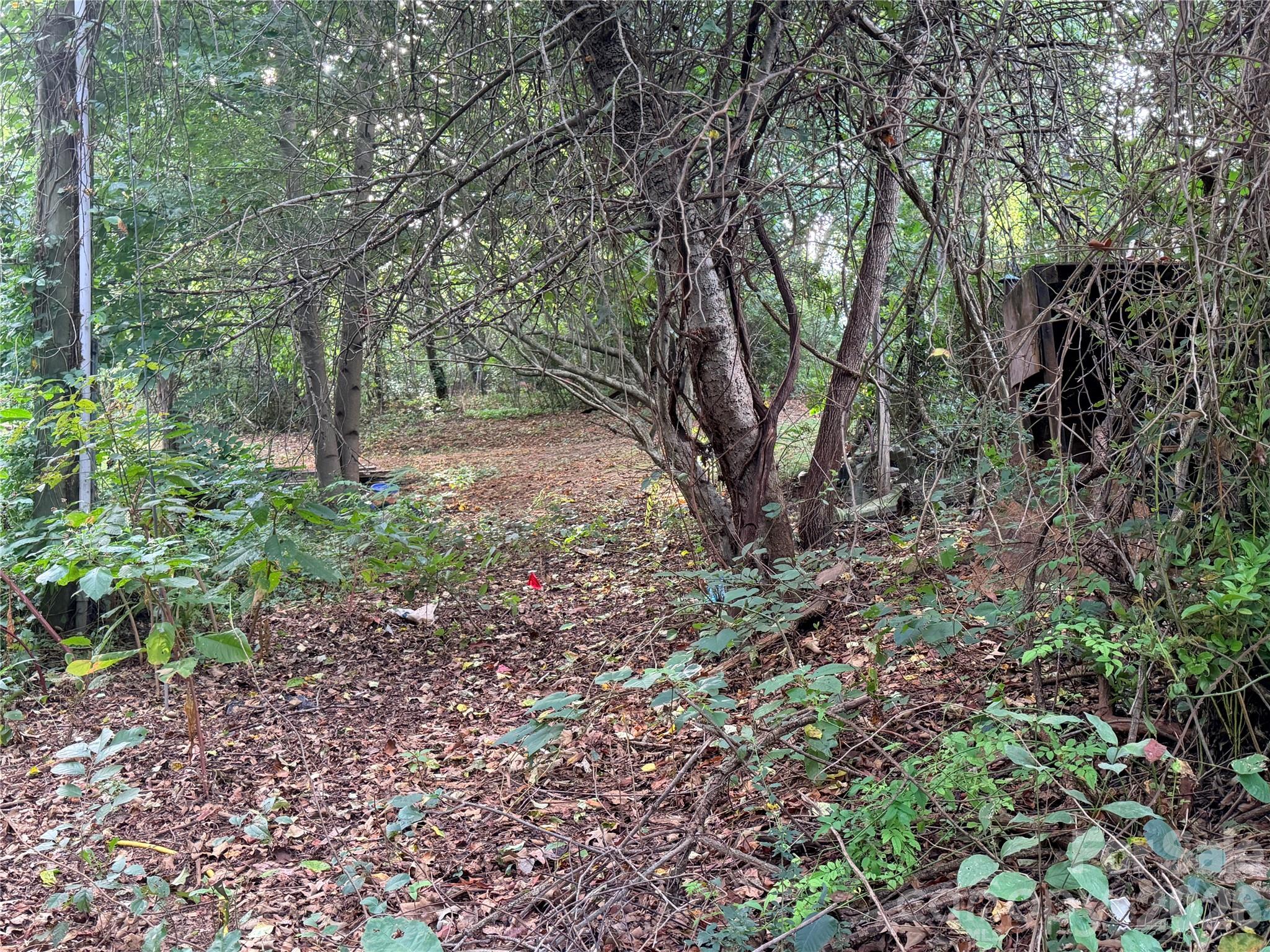 173 & 175 Dix Creek Chapel Road
