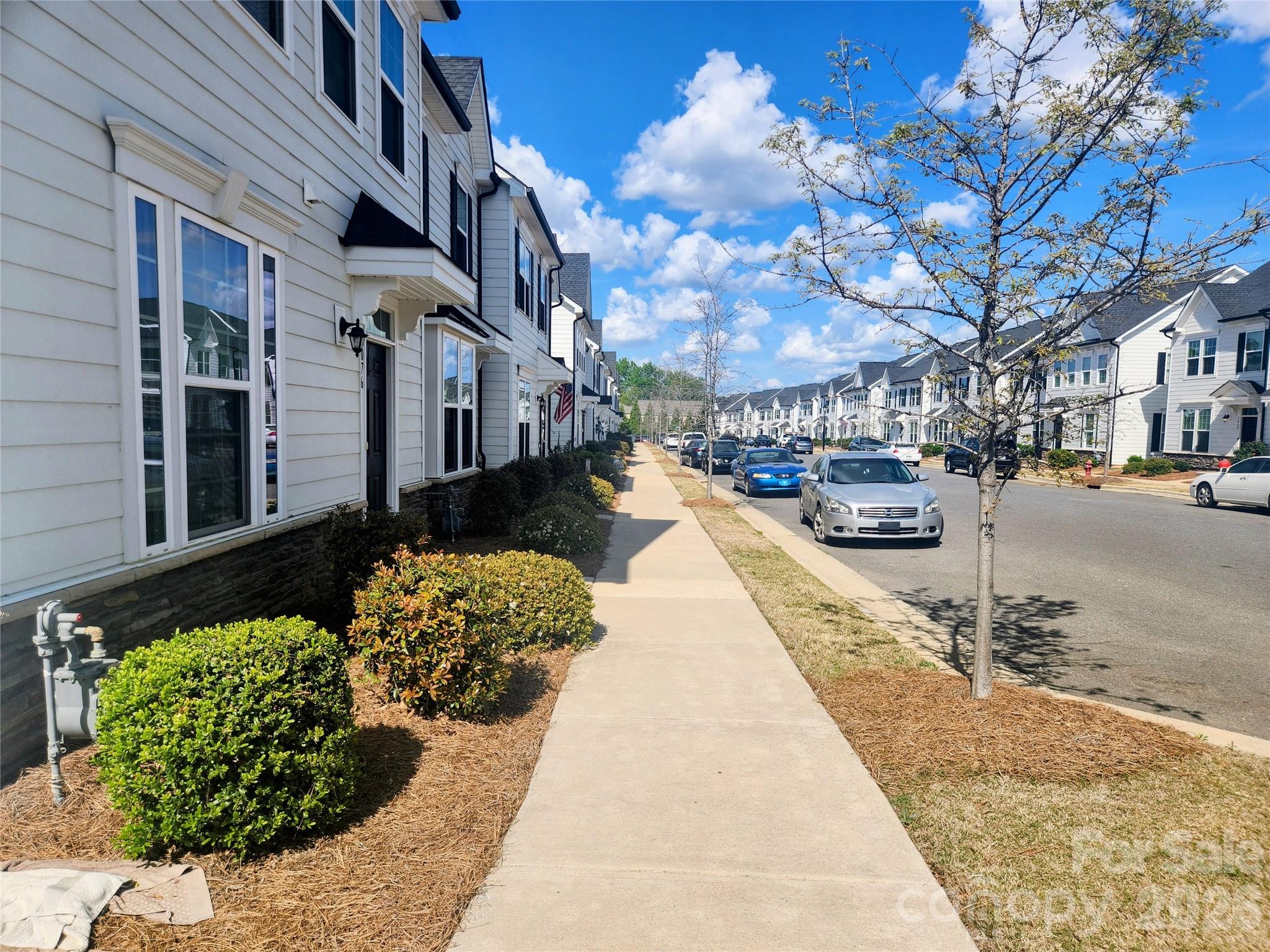 VILLAGES AT CRAMERTON MILLS - Residential