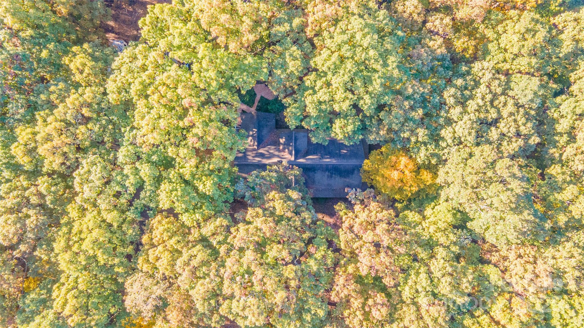 Mandy Plantation - Residential
