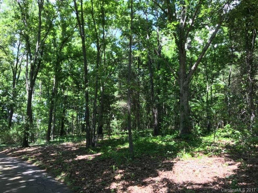 Beautiful 1.3 Acre lot less than 1 mile from I-485! Lot will go fast!  Tap fee and Connection fee is required and to be paid by the buyer.  Survey to to provided by the seller.