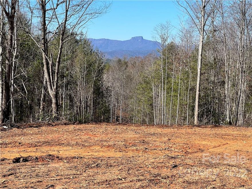 You want an amazing view of Table Rock Mountain from you back porch? Beautiful lot with driveway and home site ready. Ideal for a walkout basement with the view. This lot is tucked away. There will be a hedge of trees to shield the private road. This private road is only two property owners to access large acreage tracts below this community. Old Oaks Estates is a private gated community and this lot is located in The Reserve section with larger homes and big views. Att fiber in place with up to 1000 meg internet speed. Property corners are marked.