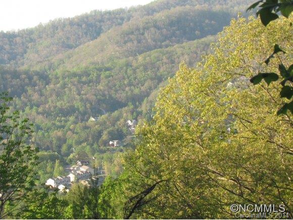 Reems Creek Valley - Land