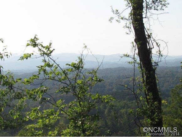 Reems Creek Valley - Land