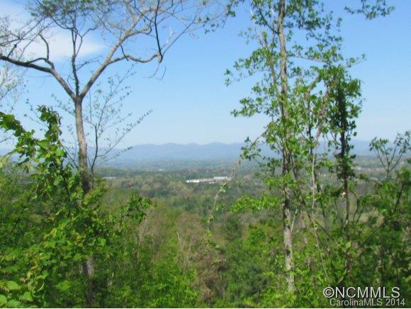 Reems Creek Valley - Land