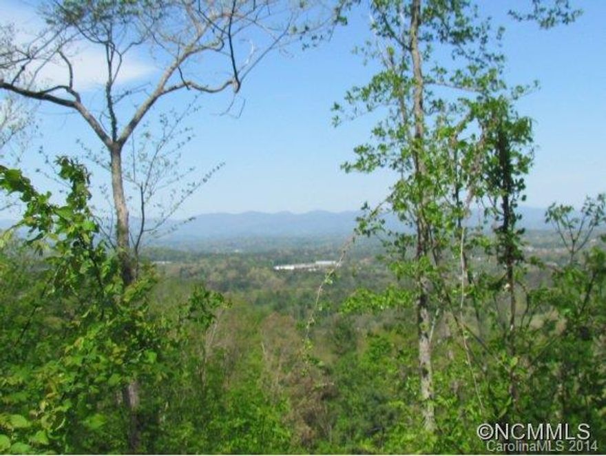 Here's the chance of a lifetime! Prime property w/strong Weaverville history for sale for the first time! Prime property perfect for private compound or investment. Possibility for many building sites with amazing views. You must go walk this property to truly see the potential. 60 +/- acres. Owner is retaining aprox. 20 acres to be determined in survey at time of sale. Home and  barns on property have no value and are being sold "as-is".