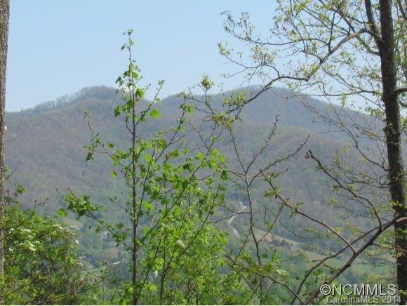 Reems Creek Valley - Land