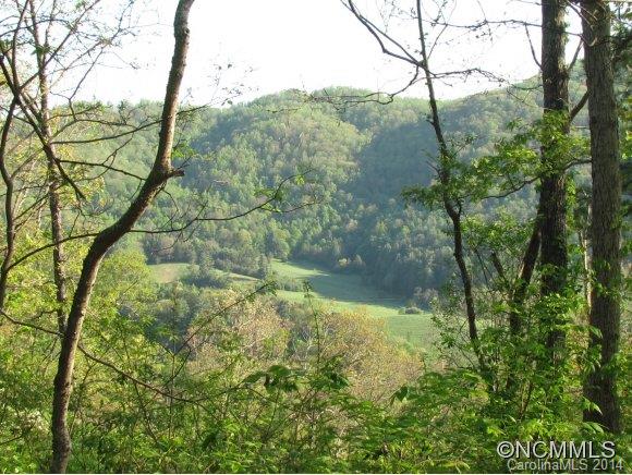 Reems Creek Valley - Land