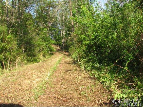 Reems Creek Valley - Land