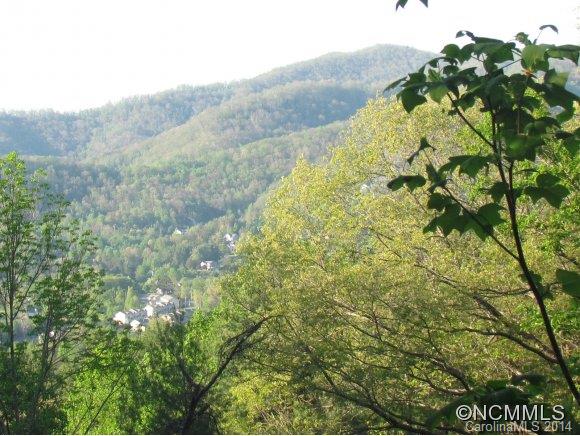 Reems Creek Valley - Land