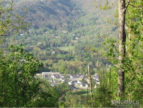 Reems Creek Valley - Land