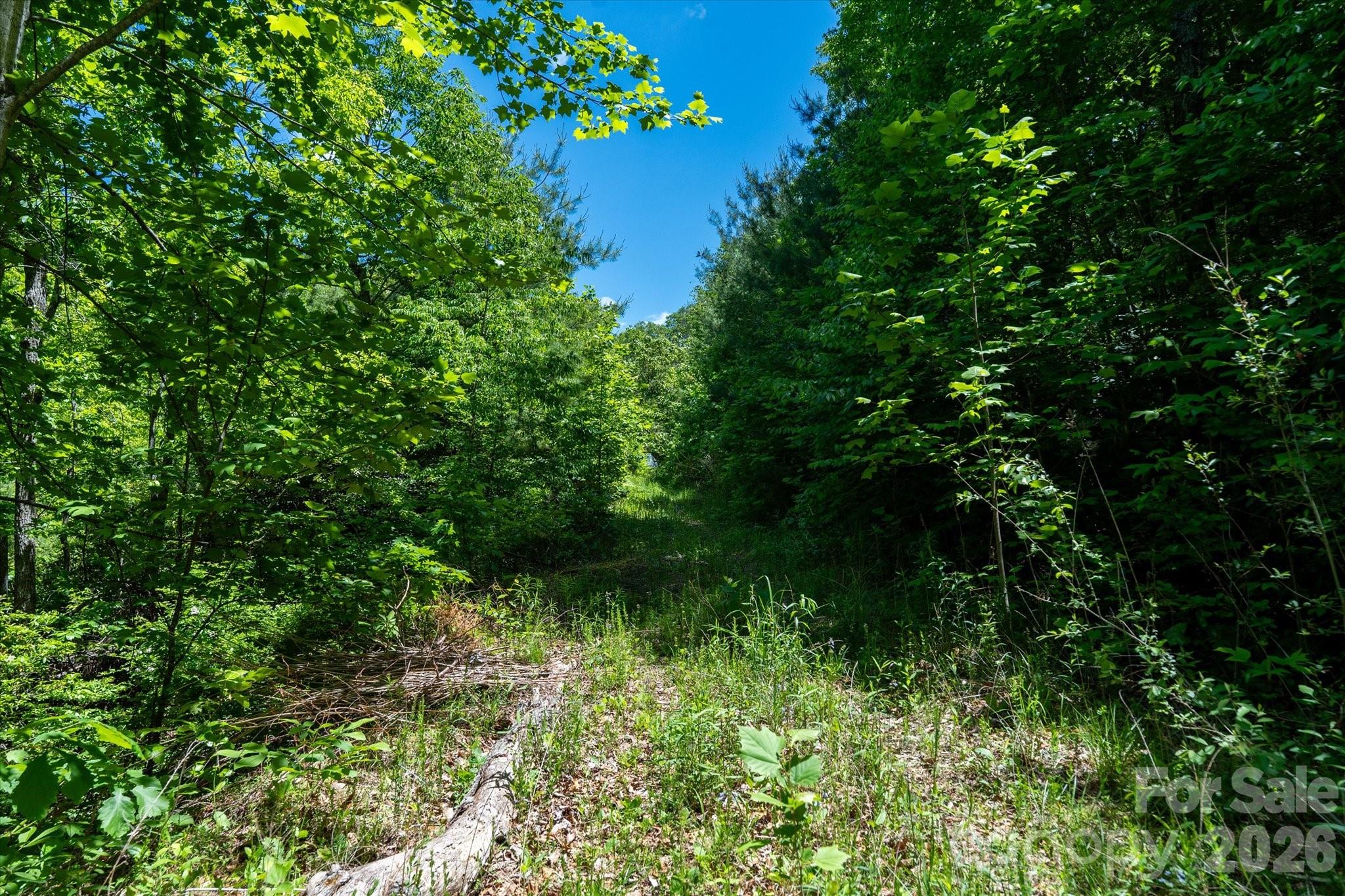 Winding Ridge Estates - Land