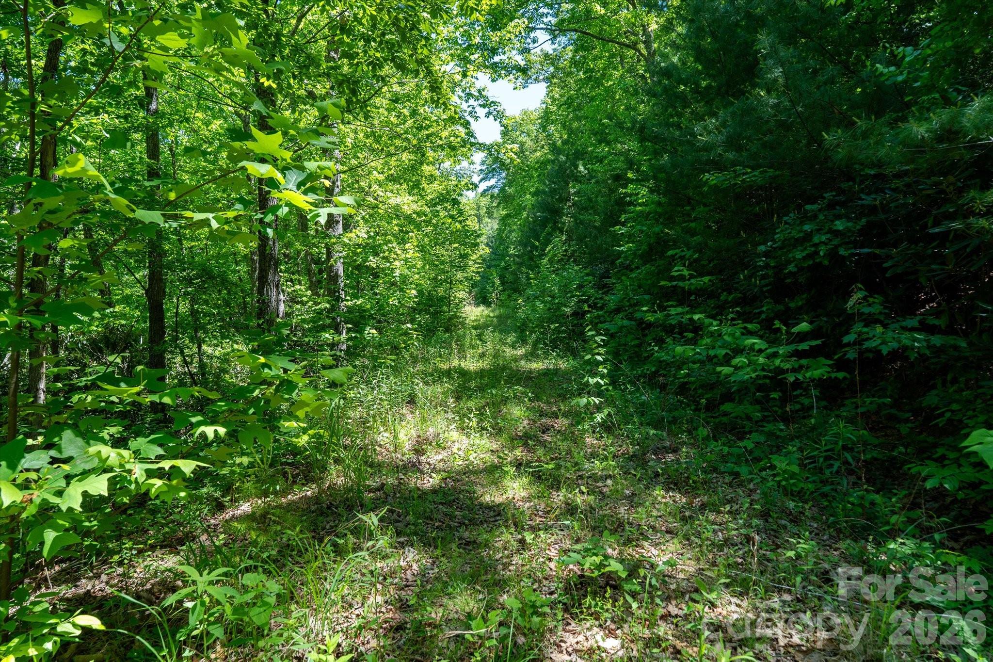Winding Ridge Estates - Land